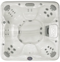 Спа бассейн Sundance Spas Hartford